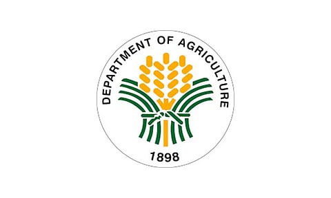 'Floating' fertilizer in llocos caused by misuse – DA