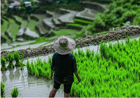 SWS: Hope dips as 2026 begins