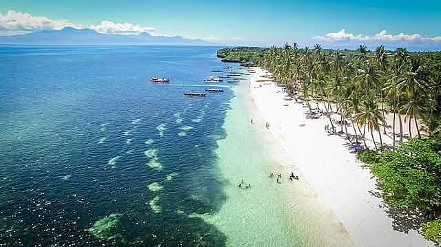 Vivant energy wins Siquijor power contract