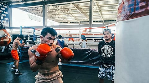 Piala to face Liam Wilson in Australia