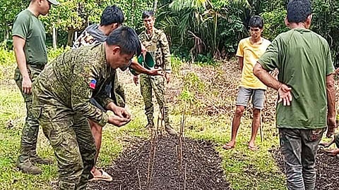 104IB establishes demo farm in Sulu town