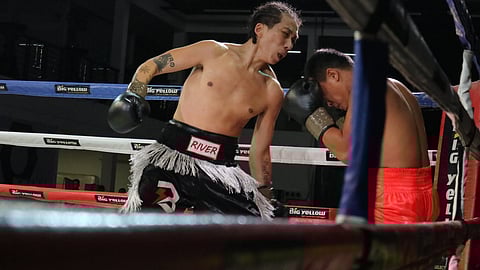 Big Yellow rewards Taiwanese pug
with WBF reg’l championship shot