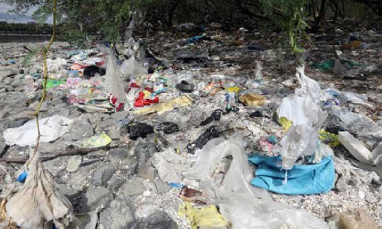 Legarda urges stronger national resolve to combat waste crisis