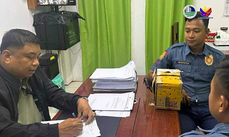 DENR Takes Custody of 9 Critically Endangered 'Kulasisi' Parrots in Olongapo