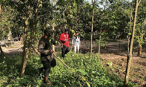 Angeles City Information Office Photo