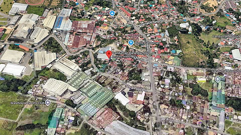 Canduman schedules hearing after dog beaten to death in market