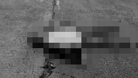 Village councilor shot dead in Negros Occidental