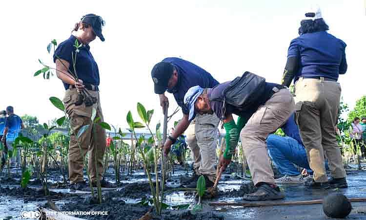 Davao City plants over 2k mangroves to defend coastlines