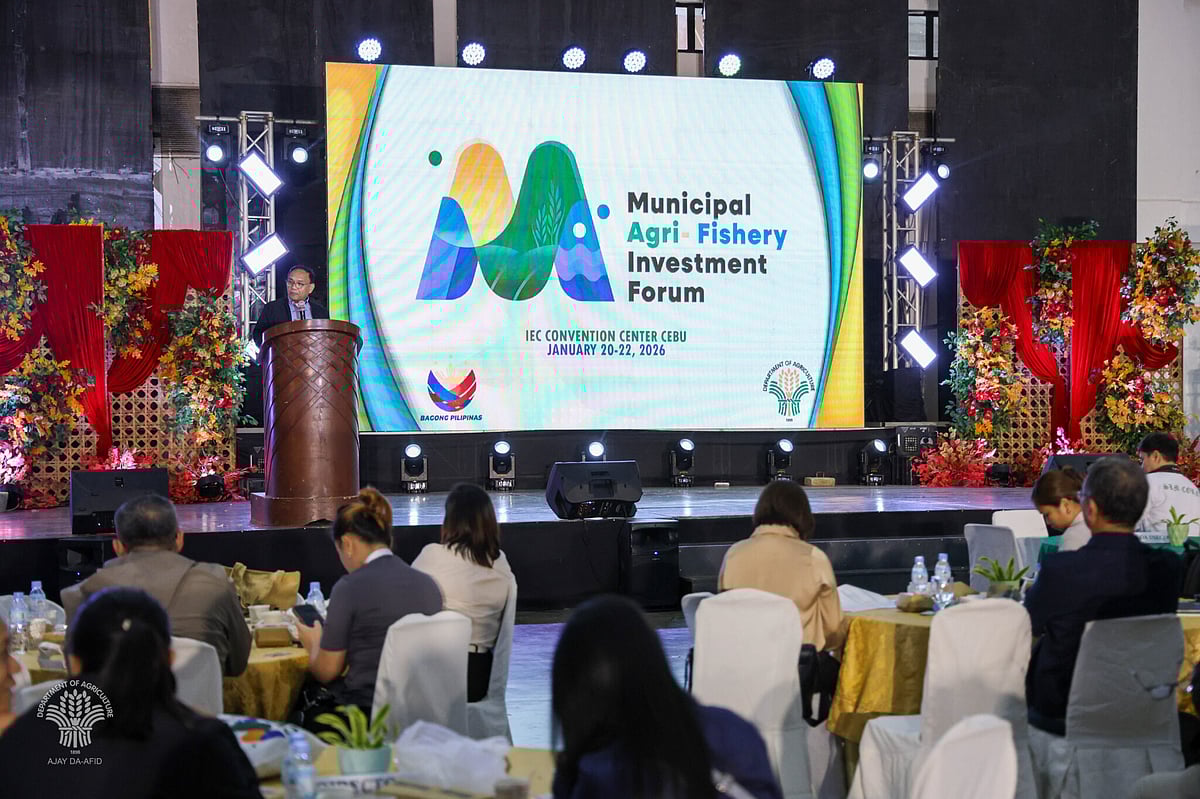 DA urges more investments in livestock and crops.