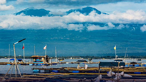 Davao City yields 3,123 metric tons of fish in 2025