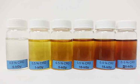 Colloidal silver nanoparticles produced using gamma irradiation at different doses, showing a visible color change from colorless to yellow to brown as silver ions are converted into antibacterial silver nanoparticles. Darker colors indicate higher nanoparticle concentrations. 