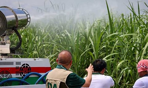 SUGAR INDUSTRY. Agriculture Secretary Francisco Tiu Laurel Jr. observes the use of the mobile disinfection unit to spray pesticides on sugarcane areas in Bacolod City affected by the red-striped soft scale insect. Government officials and lawmakers on Monday (Feb. 9, 2026) agreed on a set of immediate and longer-term measures to stabilize the sugar industry. (Photo courtesy of Department of Agriculture-Western Visayas)