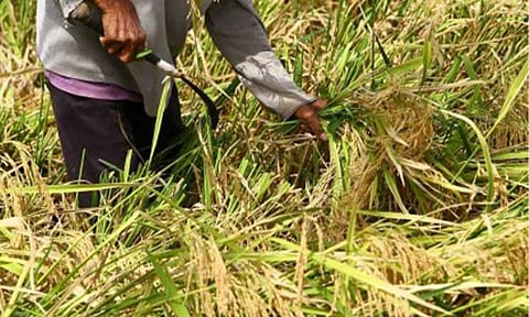 (PNA file photo by Joan Bondoc)