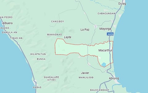 Leyte board urges halt to black sand mining in MacArthur