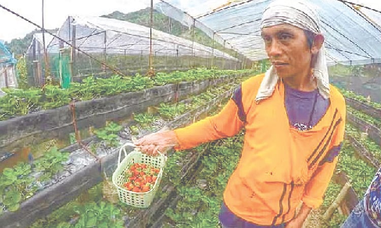 Gov’t launches 6-year plan to boost farm tourism and rural jobs