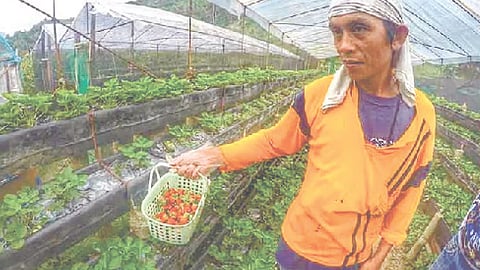 Tourism-agri tie-up targets rural jobs