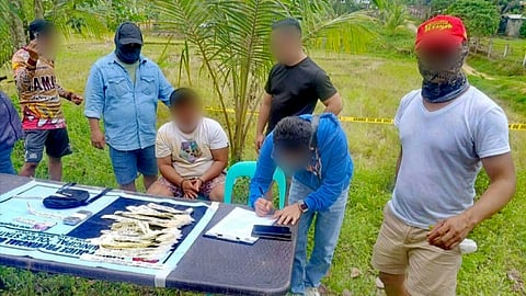 ILOILO. Authorities present the suspected shabu and marijuana seized from a 26-year-old Sangguniang Kabataan chairman tagged as a high-value individual during a buy-bust operation in Barangay Ardemil, Sara, Iloilo, on February 20, 2026. 