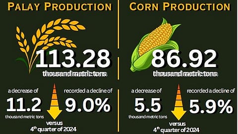Davao Q4 palay, corn output drops