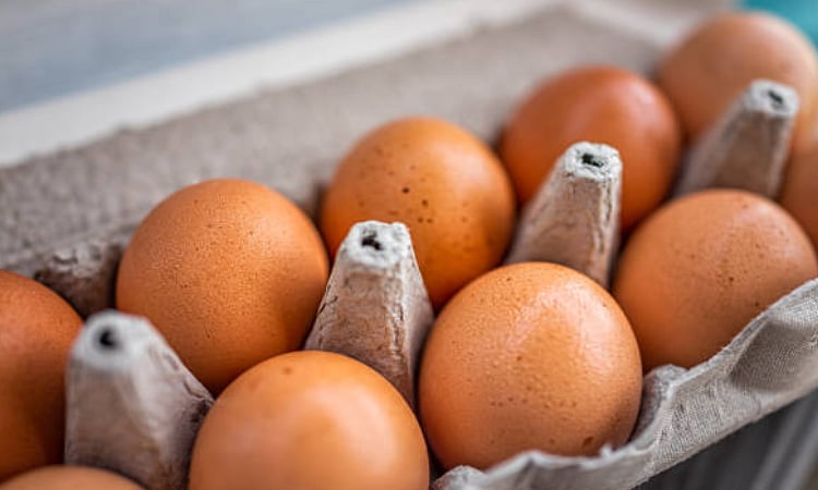 PH restaurant chains near 80% in cage-free egg shift