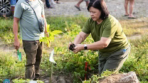 LGUs misalmot sa Green Valentine
nananom og 1K seedlings sa Toledo
