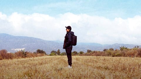 The 'Anti-Travel' guide: Finding the radical in the ordinary