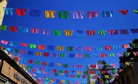Fiesta buntings
