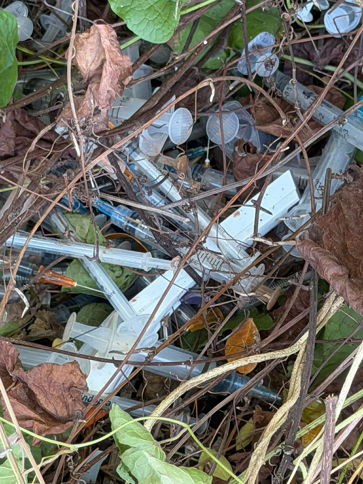 Improper disposal of medical waste sparks concern in Bogo City, Cebu