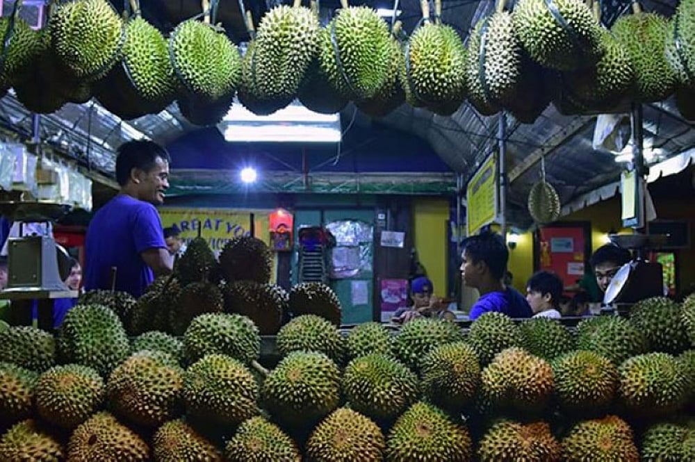 Davao City-NZ partnership for durian quality research - Vimarsana News