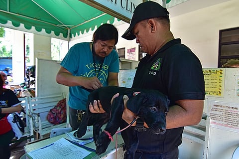 A personnel from the Davao City Police Office (DCPO) Explosive and Ordnance Disposal (EOD) unit holds their three-month-old Labrador K9 during its anti-rabies vaccination at the City Veterinarian’s Office in Davao City on Monday morning.