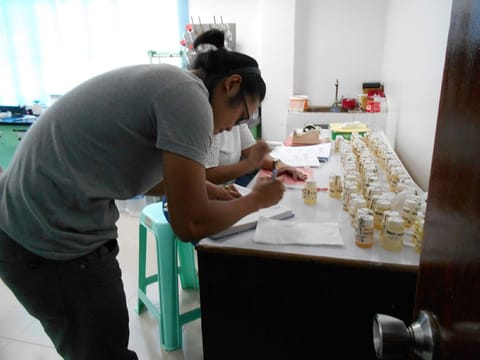 Drug testing ordinance pushed