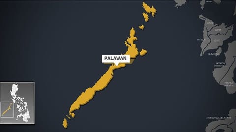 2 cops, Bucor personnel killed in Palawan shootout