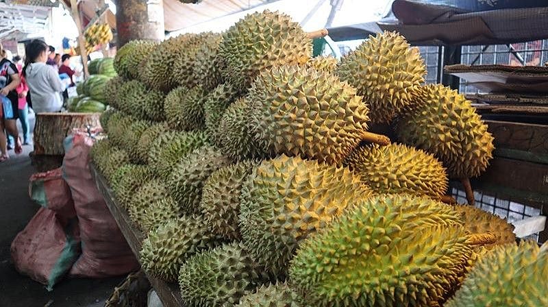 Durian exports hit by climate, costs
