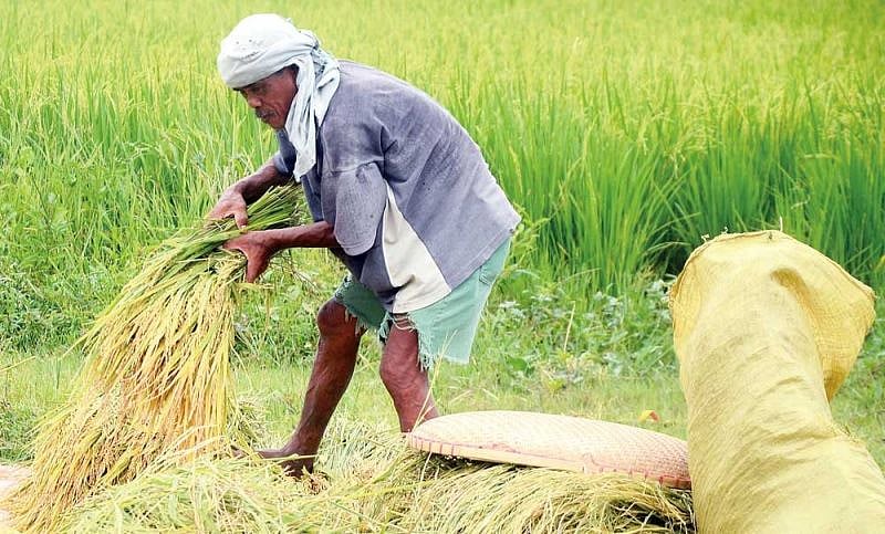 Marcos to certify amendments to Rice Tariffication Law as urgent - Vimarsana News