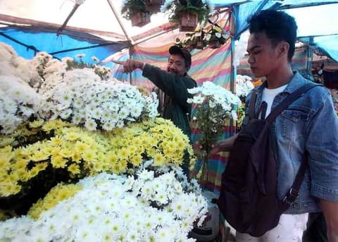 BAGUIO. As the nation celebrates All Saints' Day and All Souls' Day, cutflower farmers assured enough supply of flowers. (Jean Nicole Cortes)