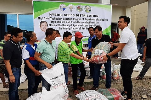 PAMPANGA. San Simon Mayor Abundio Punsalan Jr., Board Member Pol Balingit, Councilor Mark Macapagal and other local officials lead the distribution of hybrid seeds to Simonian farmers. (Princess Clea Arcellaz)