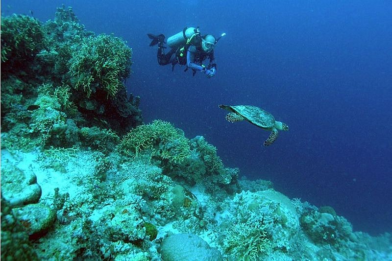 DOT: Dive tourism doubles in 2023 at P73B - Vimarsana News