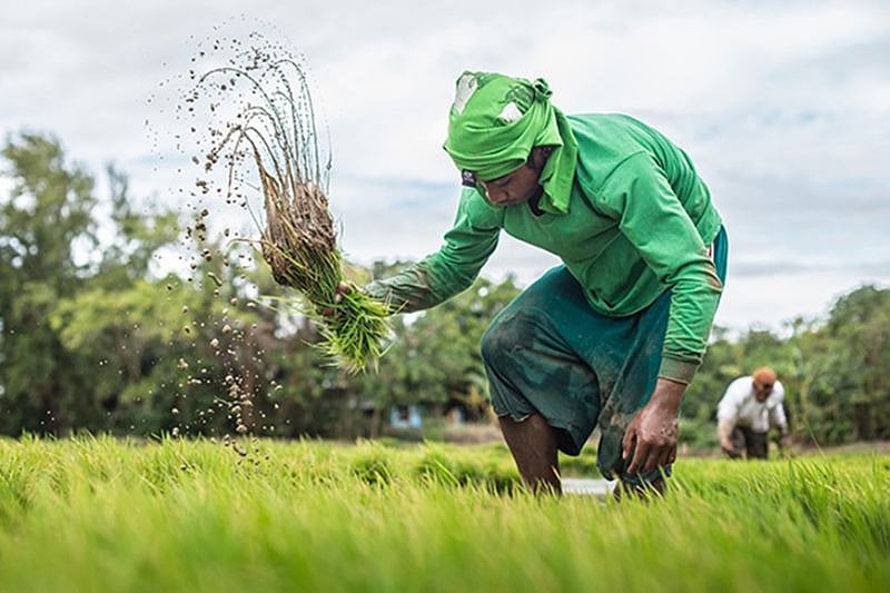 SP member urges farm coops to seek accreditation for LGU loans - Vimarsana News