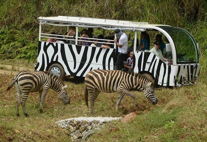 Frasco files bill to declare Cebu Safari Adventure Park as tourist destination