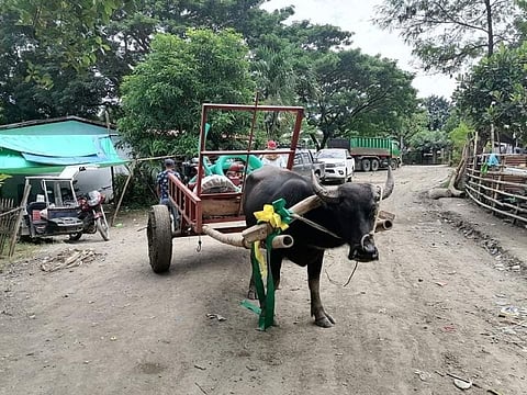 LIVELIHOOD AID. Two agrarian reform beneficiaries organizations in Kabankalan City and Pontevedra receive P900,000 worth of livelihood assistance from the Department of Agrarian Reform - Negros Occidental II recently. (Contributed Photo)