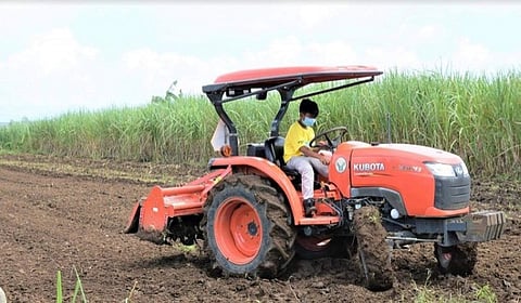 Organic farmers in Davao City told to get certified