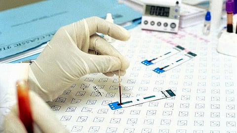 Photo by Associated Press