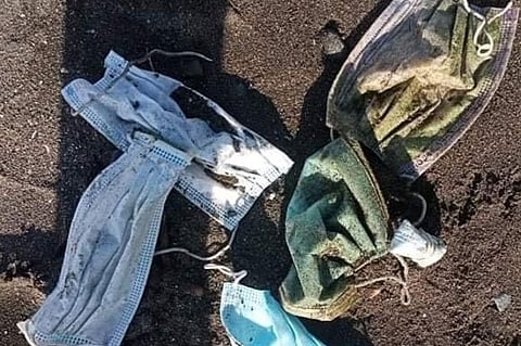 DISPOSED FACE MASKS. The Department of Environment and Natural Resources appeals to the public to dispose face masks properly to curb risks of pollution and biodiversity loss in Central Luzon. (DENR)