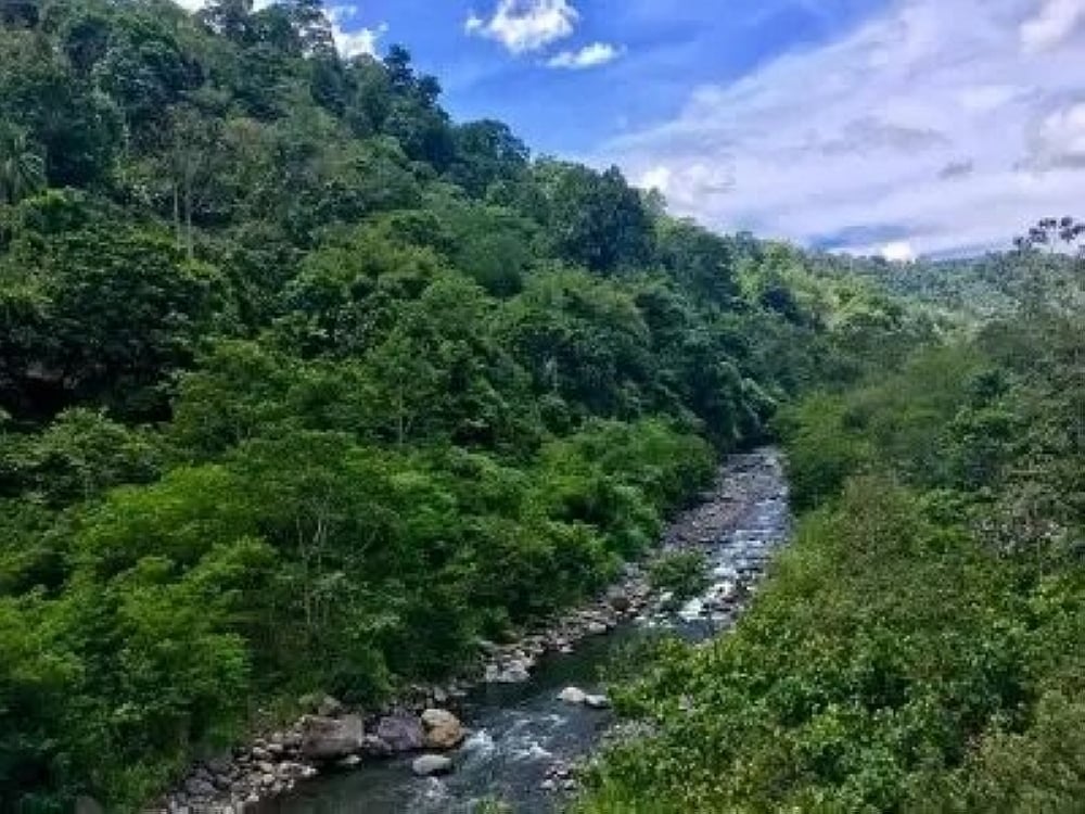 Ordinance boosting Panigan-Tamugan watershed protection drafted - Vimarsana News