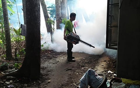 Dengue cases in Bacolod City and Negros Occidental continue to increase as of this month as reported by the Department of Health in Western Visayas.