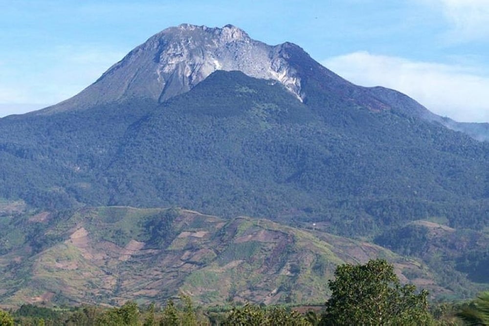 Creation of Mt. Apo wildlife center pushed - Vimarsana News