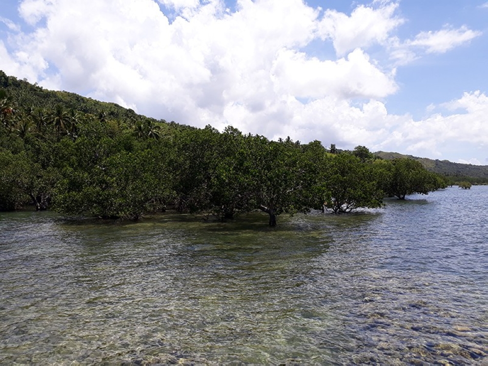 (SunStar Cebu's file photo/Contributed)