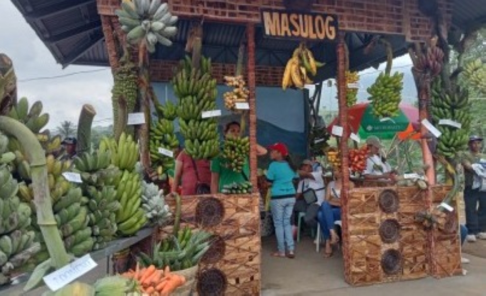 BANANA FESTIVAL. Barangay Masulog displays several banana varieties in the ongoing Banana Festival of La Castellana town in Negros Occidental. The five-day event, which kicked off Saturday (April 1, 2023) and was held for the first time at the Mandayao Panorama Park, shows how local growers have bounced back after their farms were destroyed by Typhoon Odette in December 2021.