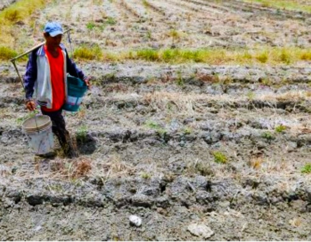Davao Region faces dry spell despite weakened El Niño: Pagasa - Vimarsana News