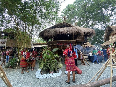 Authentic cultural encounter at Kadayawan Village