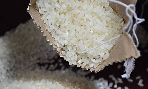 Repeal of rice law urged